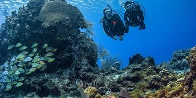 discover scuba diving course
