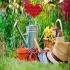 Jardinagem e Horticultura