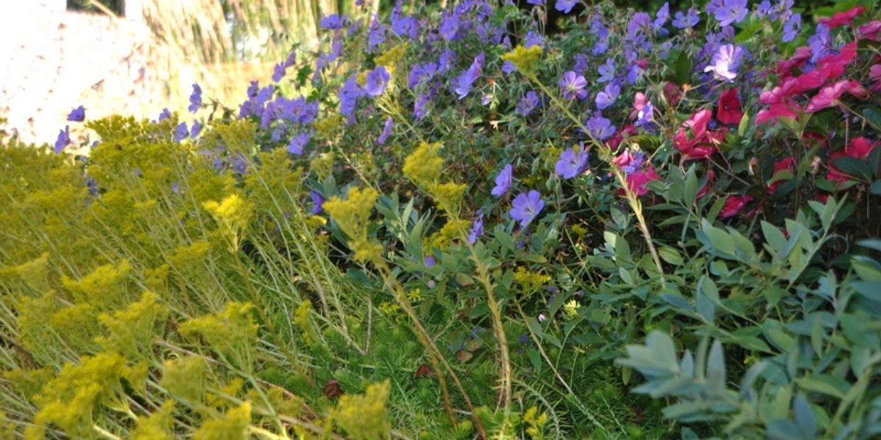 residential landscaping, landscape design, landscapers near me