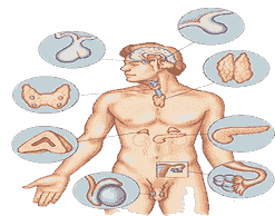 image2354