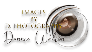 Images by D. Photography