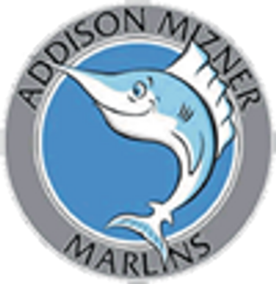 Moeller nicole addison mizner elementary Addison Mizner Elementary | The Conway Family