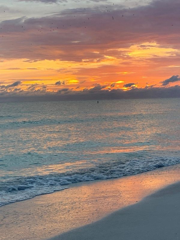 Sunset over the water on Anna Maria Island, where the idea behind Lavender Living first began.
