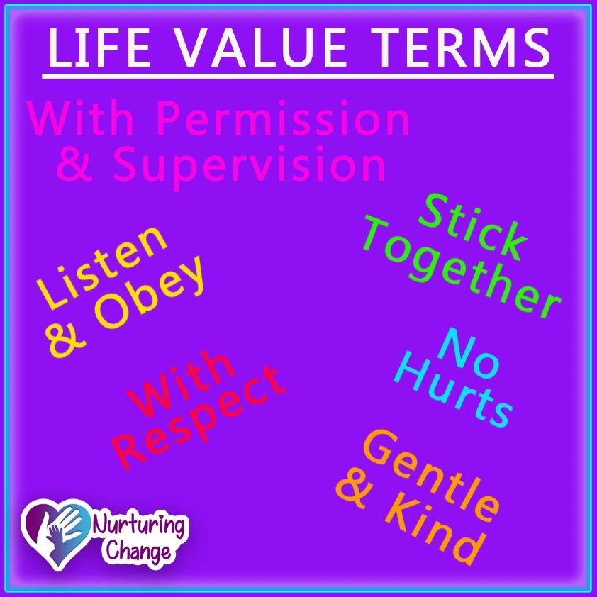 Life Value Terms