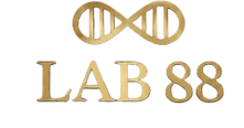 lab88peptides.com