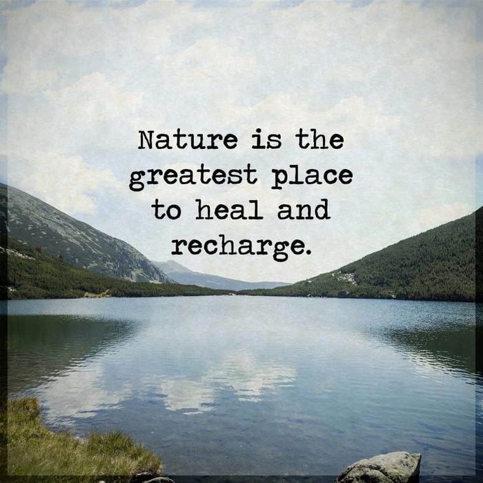 Nature photo