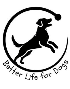 Better Life For Dogs