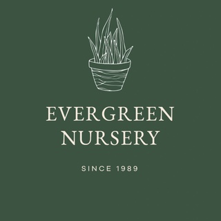 



Evergreen Nursery
 and Landscape
design

 



