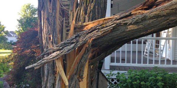 Storm Damage | Midwest Tree Service