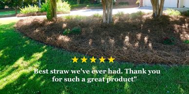 Another satisfied USA Pinestraw customer. What a great mulch product!