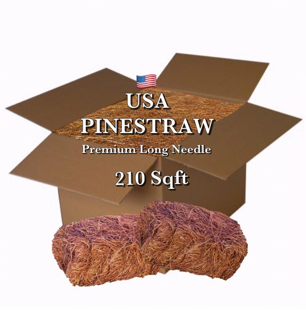 USA Pinestraw Pine Straw, Pine Needle Mulch USA Pinestraw
