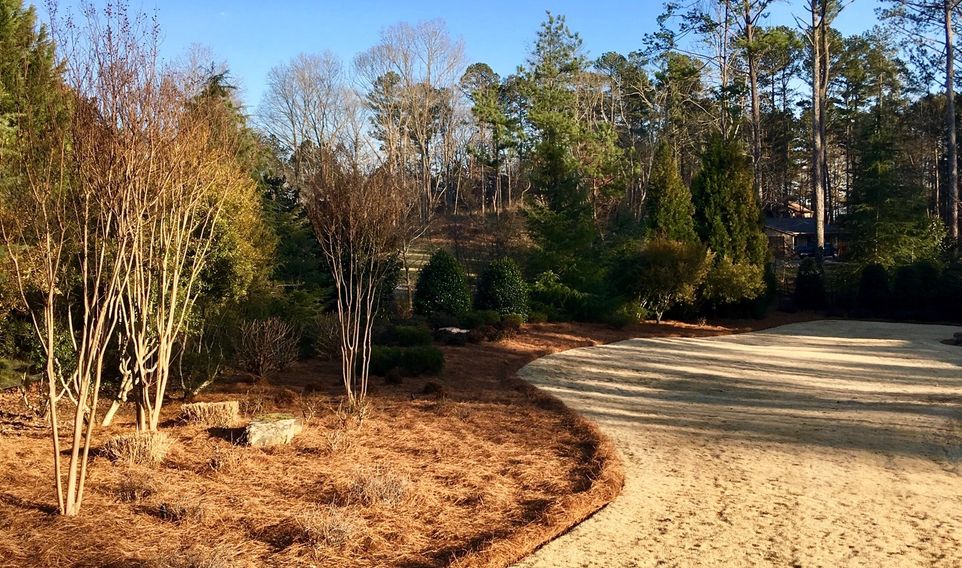 Pine straw delivery near me