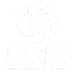 Matchday Operations Group