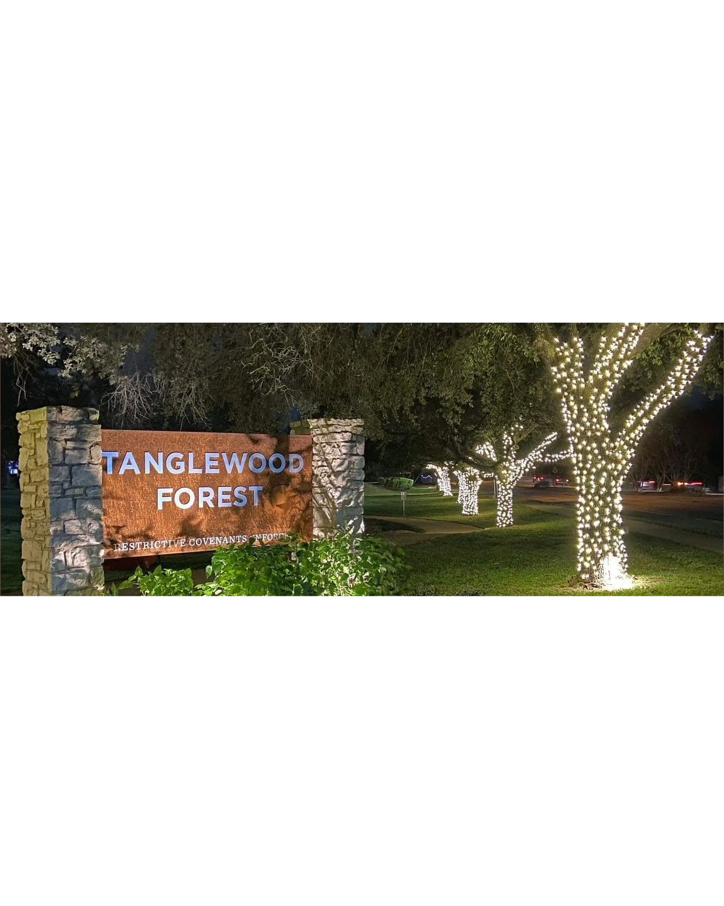 Tanglewood Forest Stalker Noel Gonsalvez tanglewood-forest-stalker-noel-gonsalvez