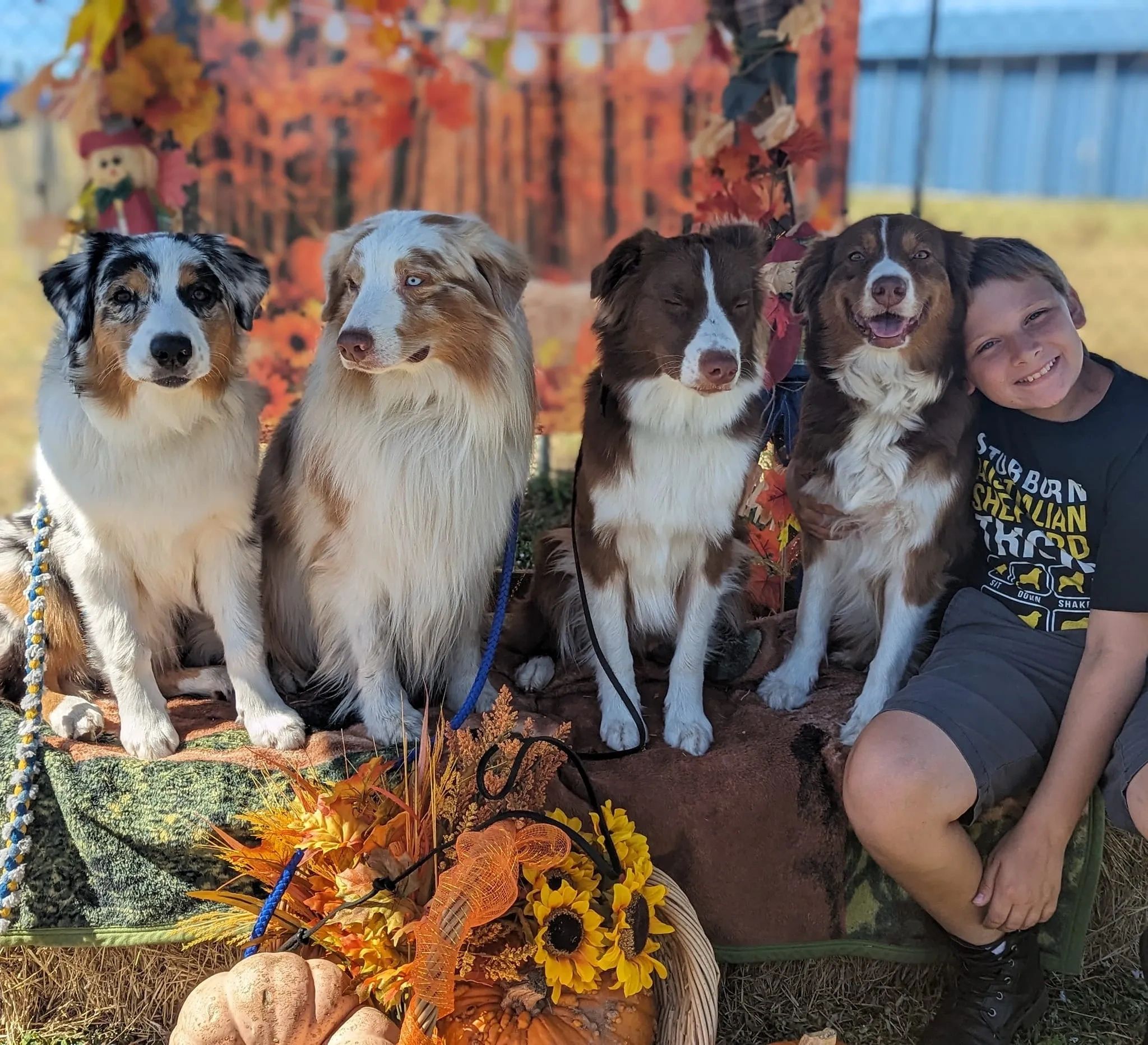 Asca breeders hotsell