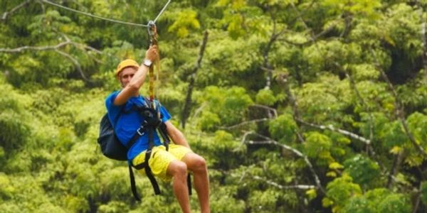 Man ziplining through a forest.
