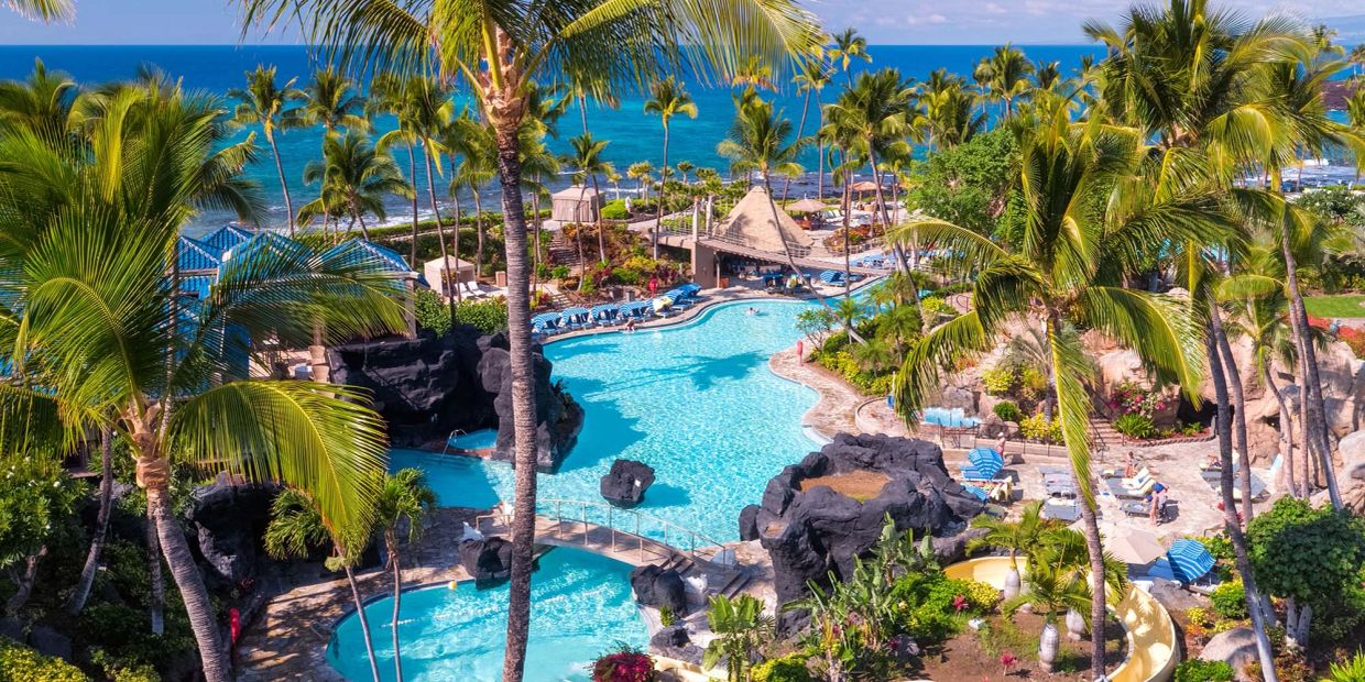 Tropical resort pool area with palm trees and ocean view.