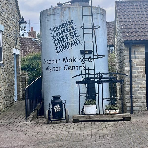 George Cheddar Cheese Company location