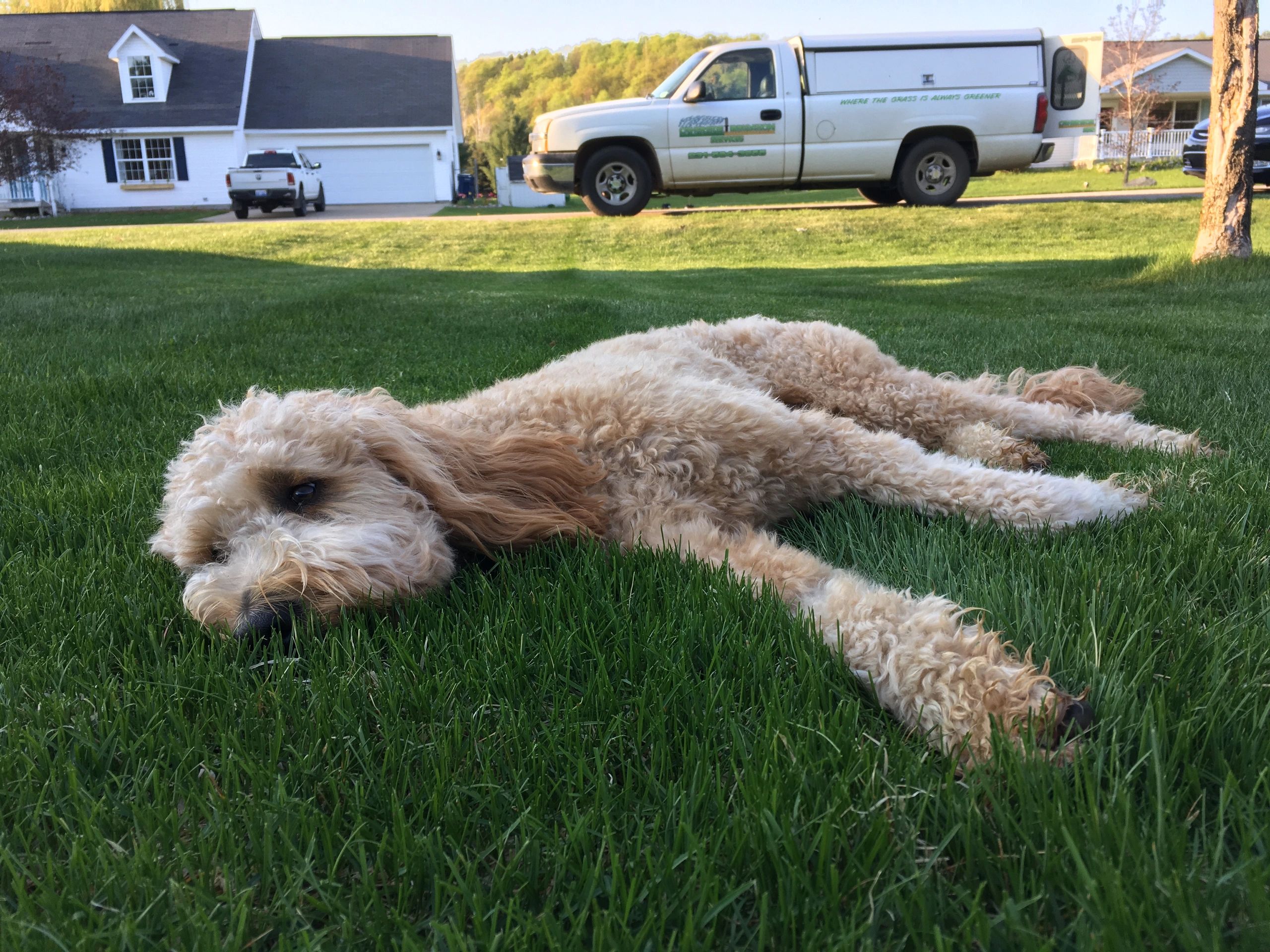 Otherside Irrigation Services