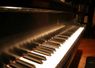Steinway Keys