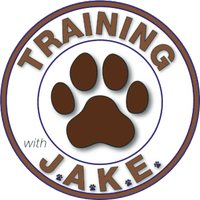 Training with J.a.k.e.