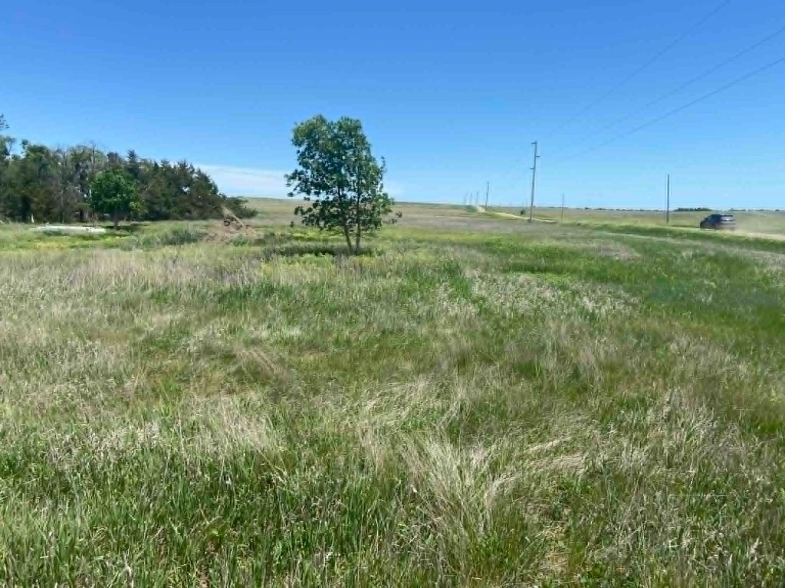 24 (+/-) Acres of Rural Residential Land, Vivian, SD — Vivian, SD real estate photo thumbnail 9