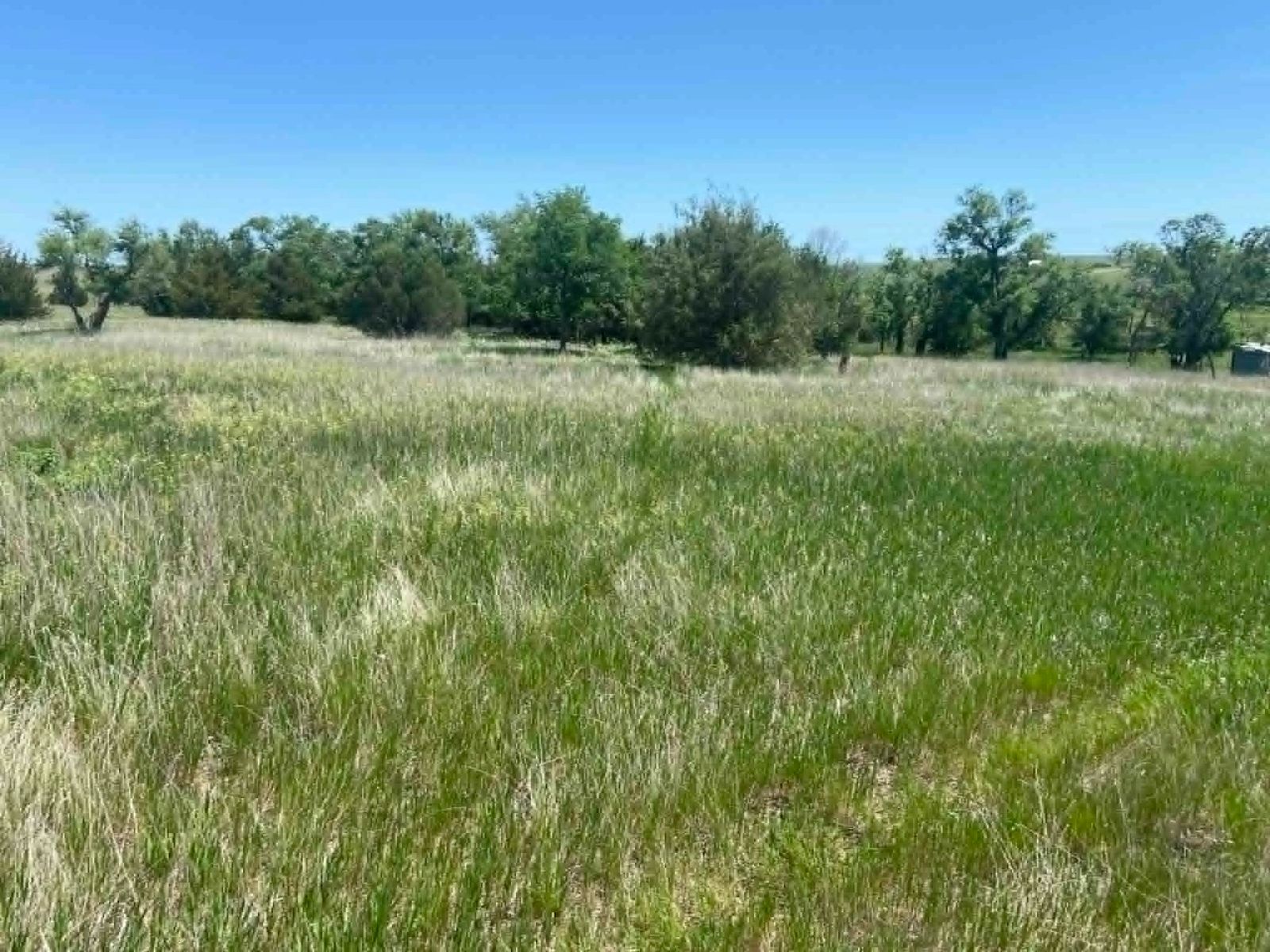 24 (+/-) Acres of Rural Residential Land, Vivian, SD — Vivian, SD real estate photo thumbnail 8