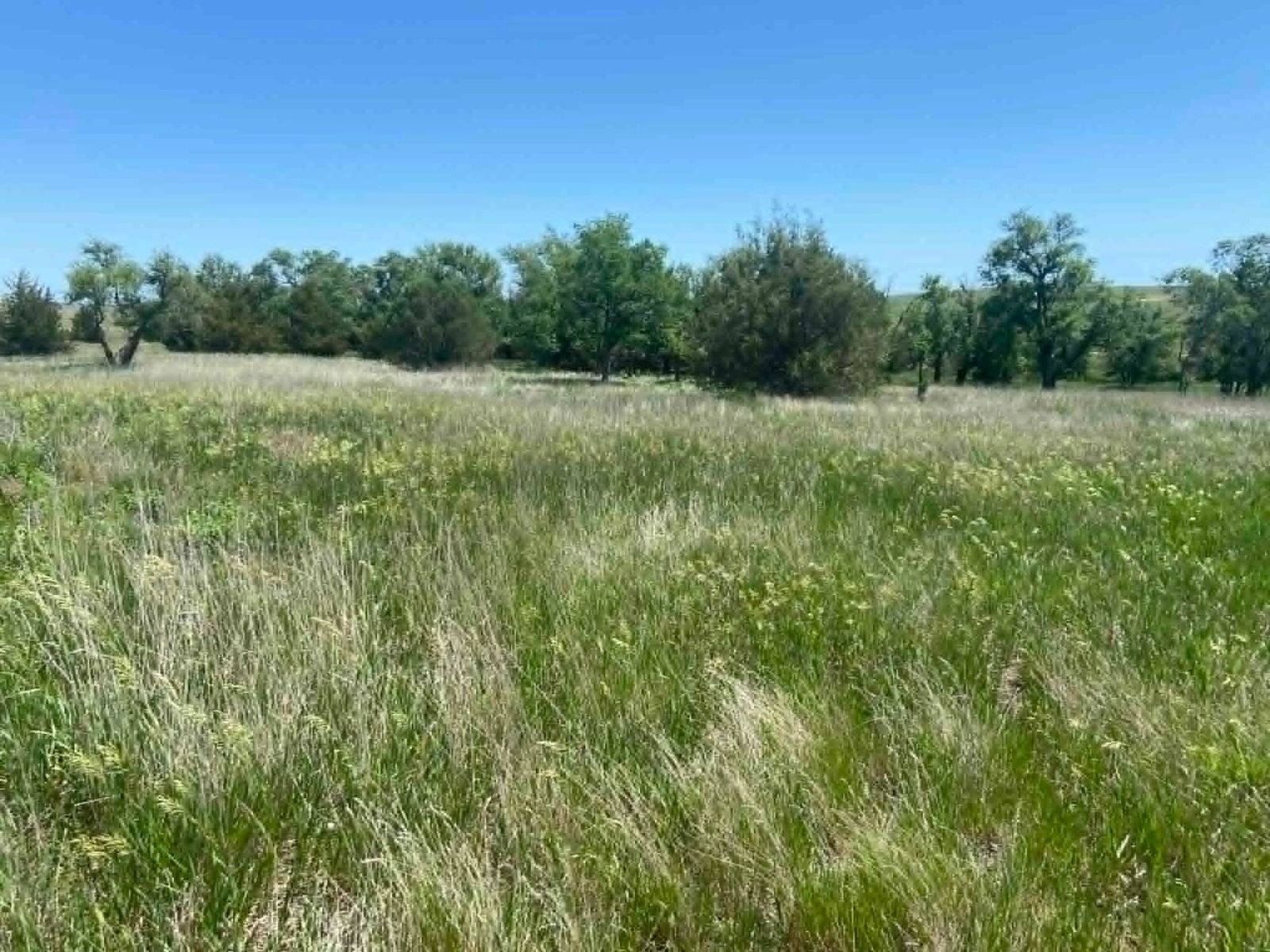 24 (+/-) Acres of Rural Residential Land, Vivian, SD — Vivian, SD real estate photo thumbnail 6