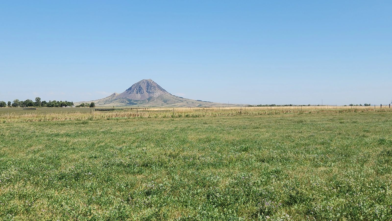 2 Tracts — Land & Homesite, Sturgis, SD — Land & Home Auction in Sturgis, SD thumbnail 12