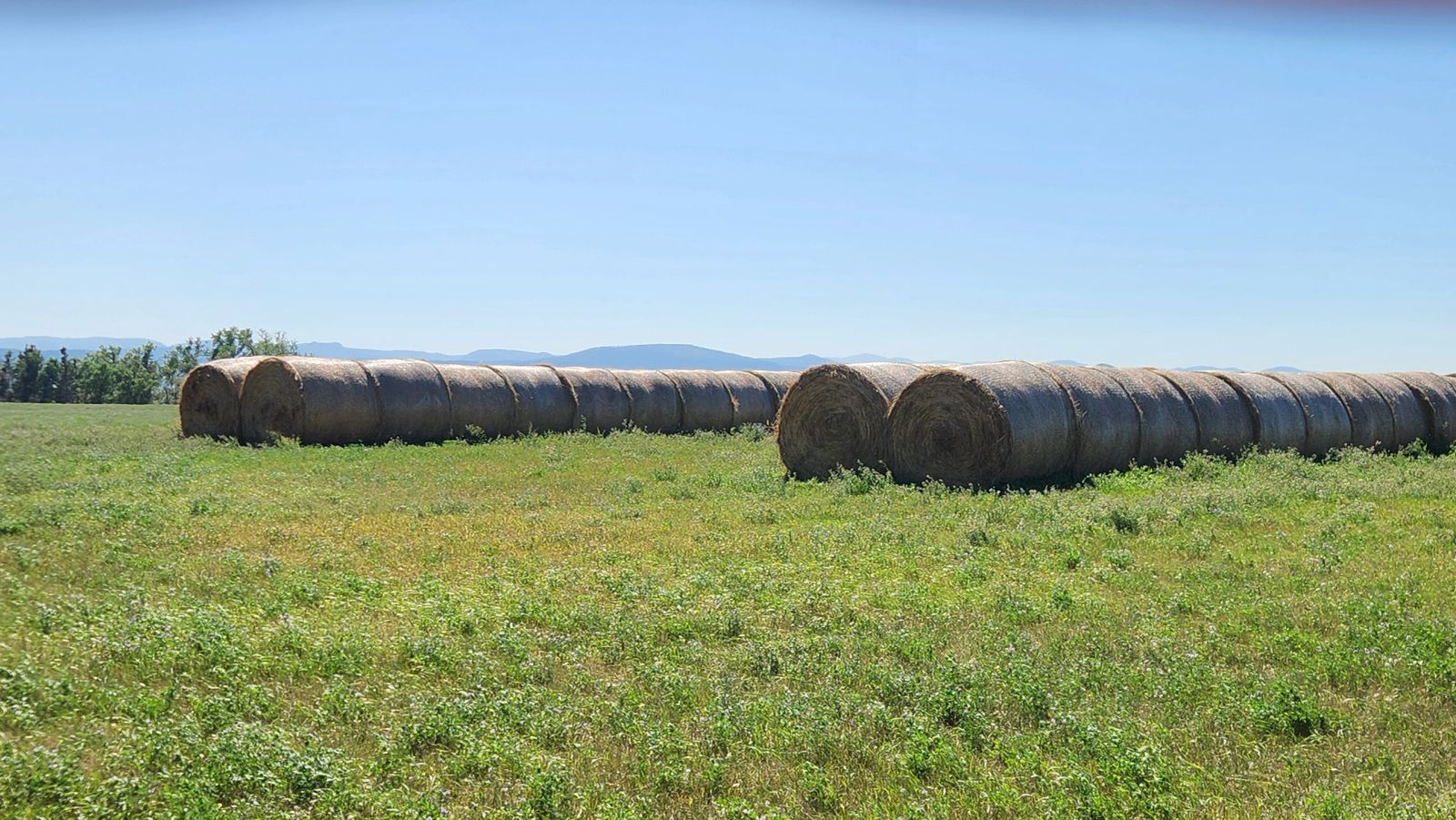 2 Tracts — Land & Homesite, Sturgis, SD — Land & Home Auction in Sturgis, SD thumbnail 17