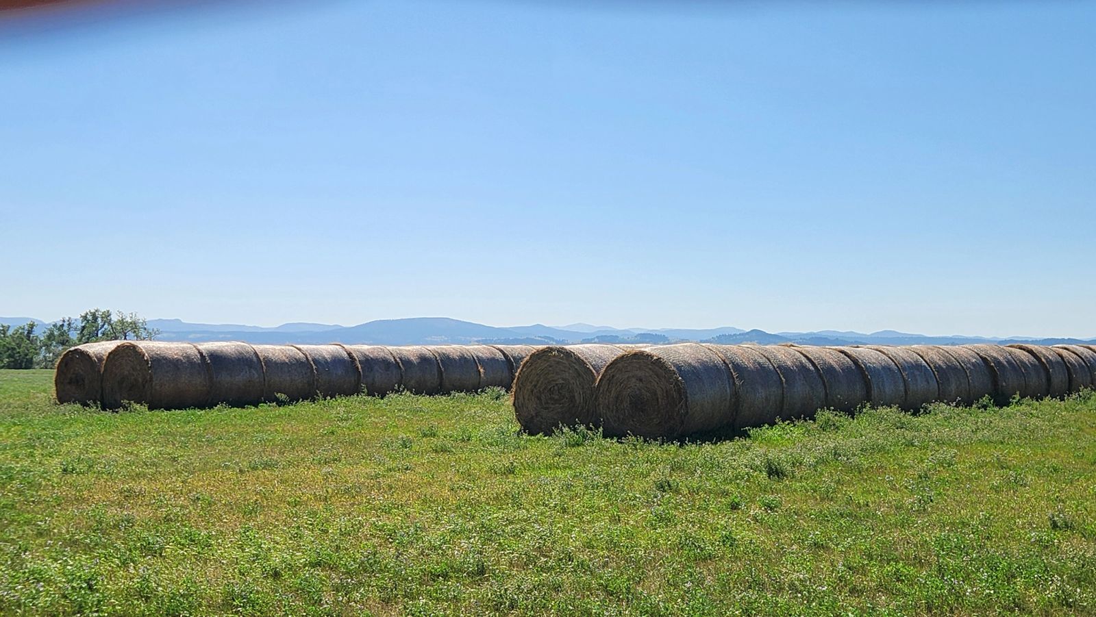 2 Tracts — Land & Homesite, Sturgis, SD — Land & Home Auction in Sturgis, SD thumbnail 8