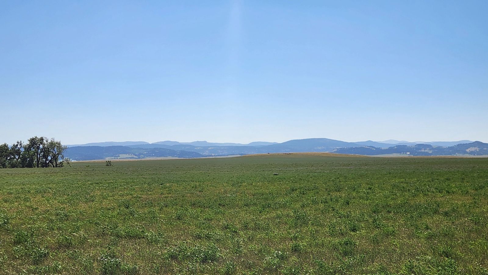 2 Tracts — Land & Homesite, Sturgis, SD — Land & Home Auction in Sturgis, SD thumbnail 9