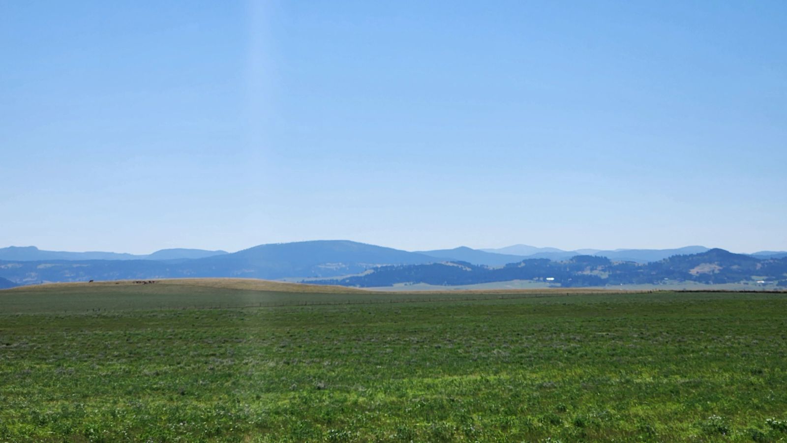 2 Tracts — Land & Homesite, Sturgis, SD — Land & Home Auction in Sturgis, SD thumbnail 5