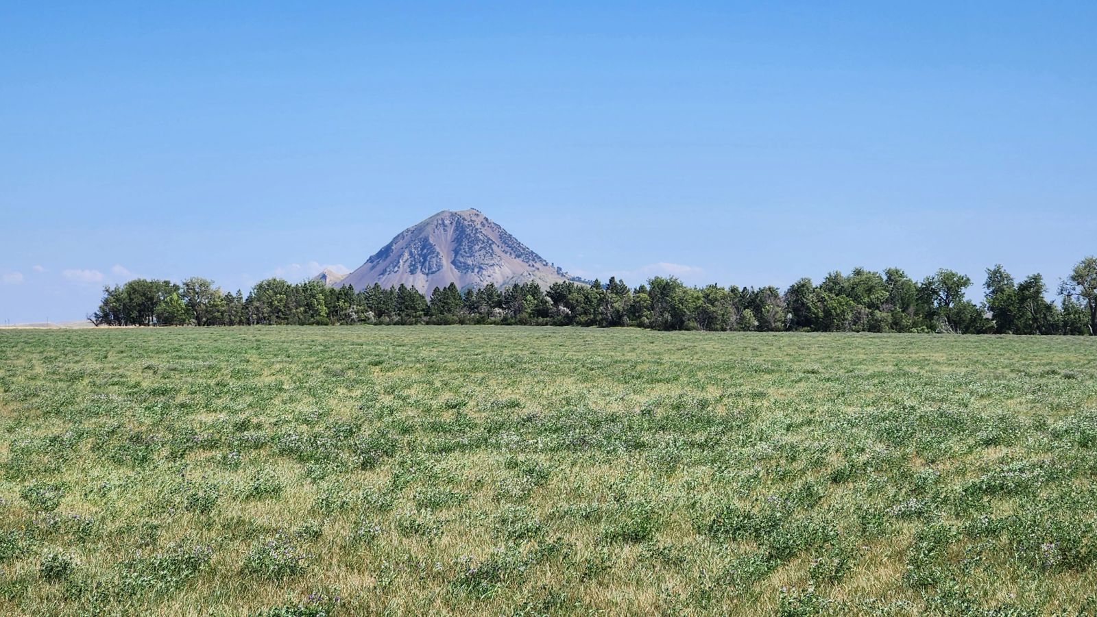 2 Tracts — Land & Homesite, Sturgis, SD — Land & Home Auction in Sturgis, SD thumbnail 19