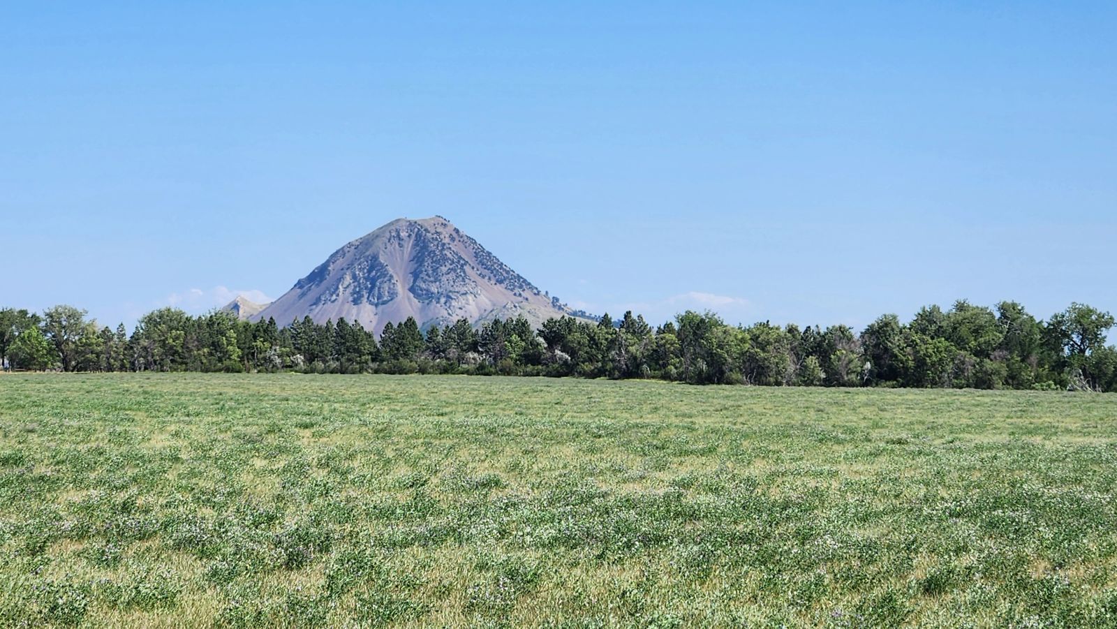 2 Tracts — Land & Homesite, Sturgis, SD — Land & Home Auction in Sturgis, SD thumbnail 10