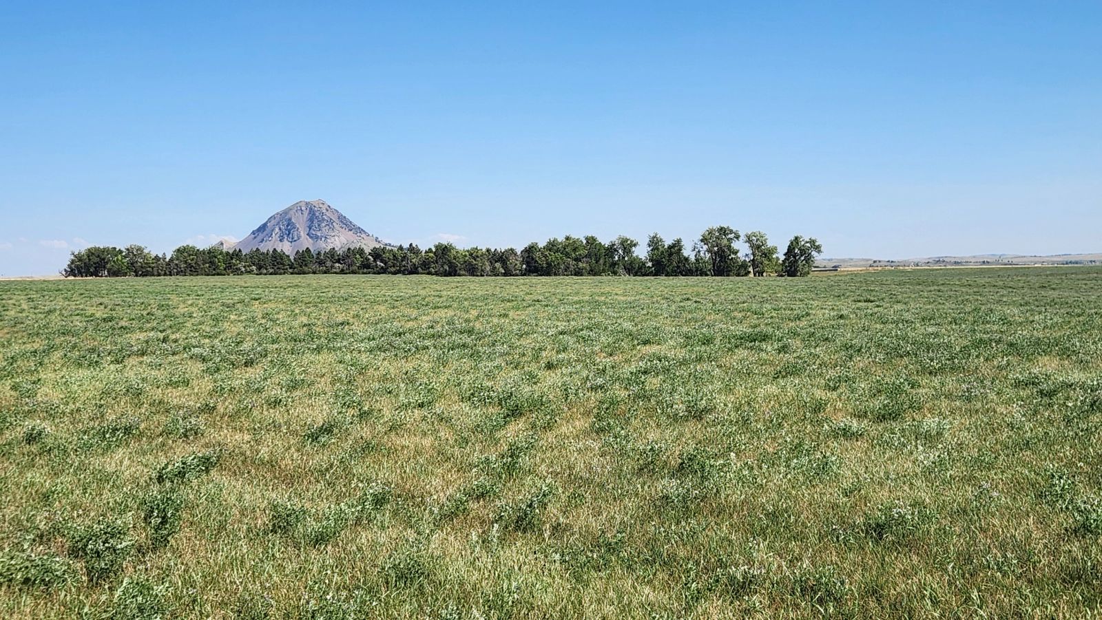 2 Tracts — Land & Homesite, Sturgis, SD — Land & Home Auction in Sturgis, SD thumbnail 13