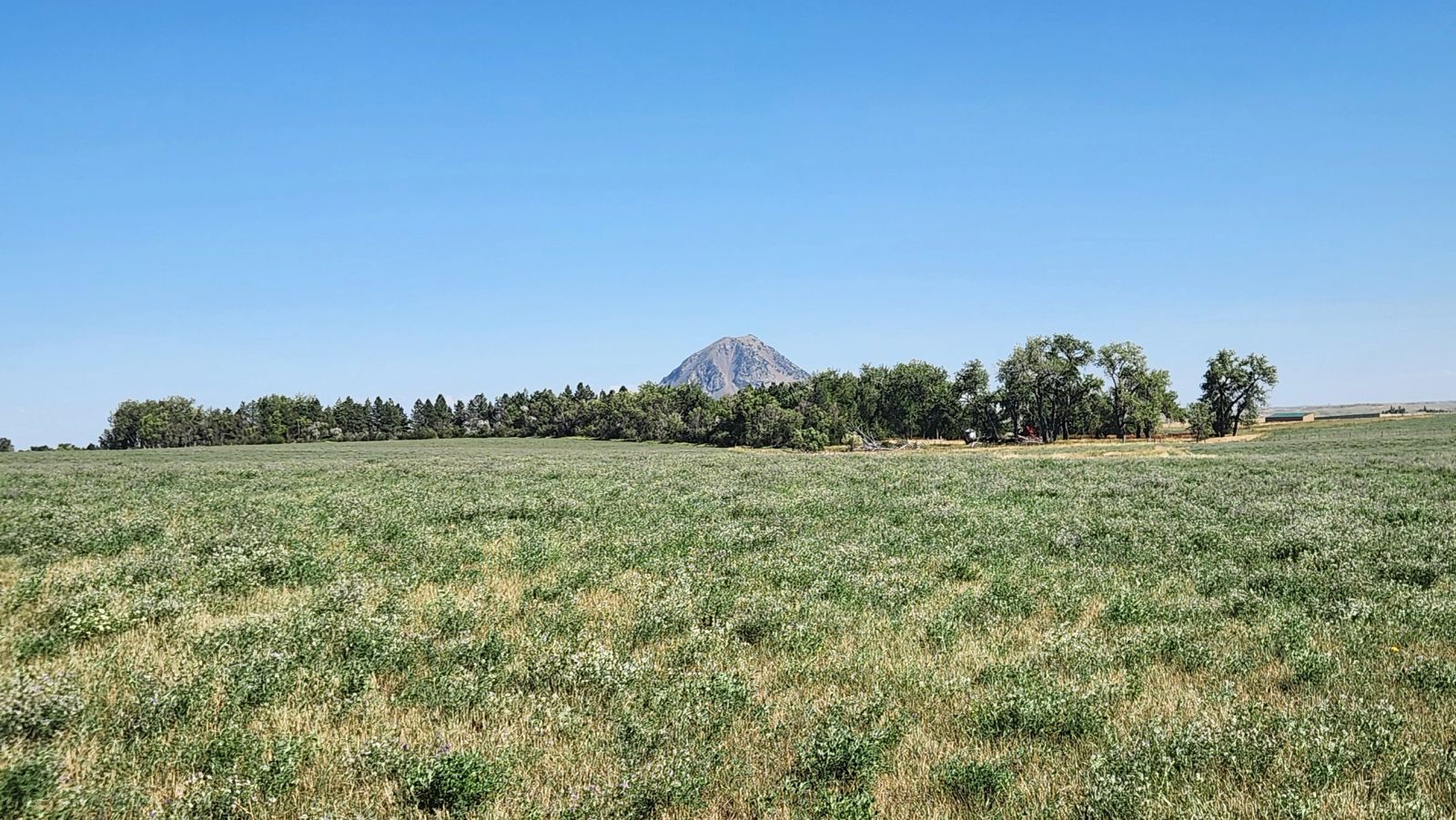 2 Tracts — Land & Homesite, Sturgis, SD — Land & Home Auction in Sturgis, SD thumbnail 3
