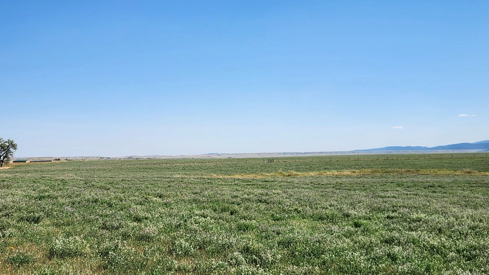 2 Tracts — Land & Homesite, Sturgis, SD — Land & Home Auction in Sturgis, SD thumbnail 15