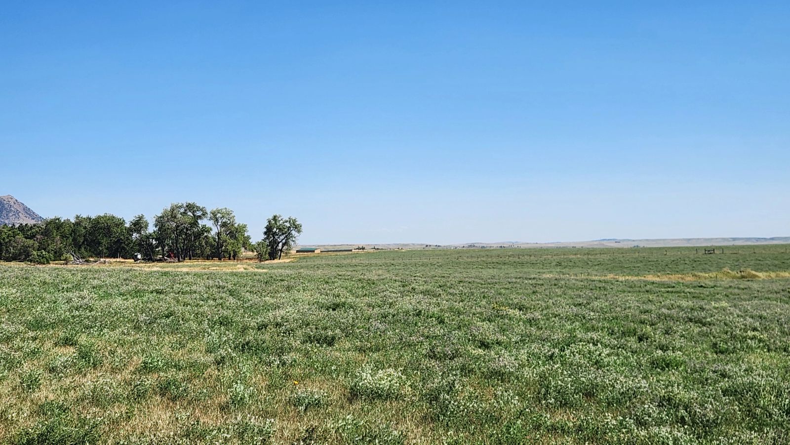 2 Tracts — Land & Homesite, Sturgis, SD — Land & Home Auction in Sturgis, SD thumbnail 14
