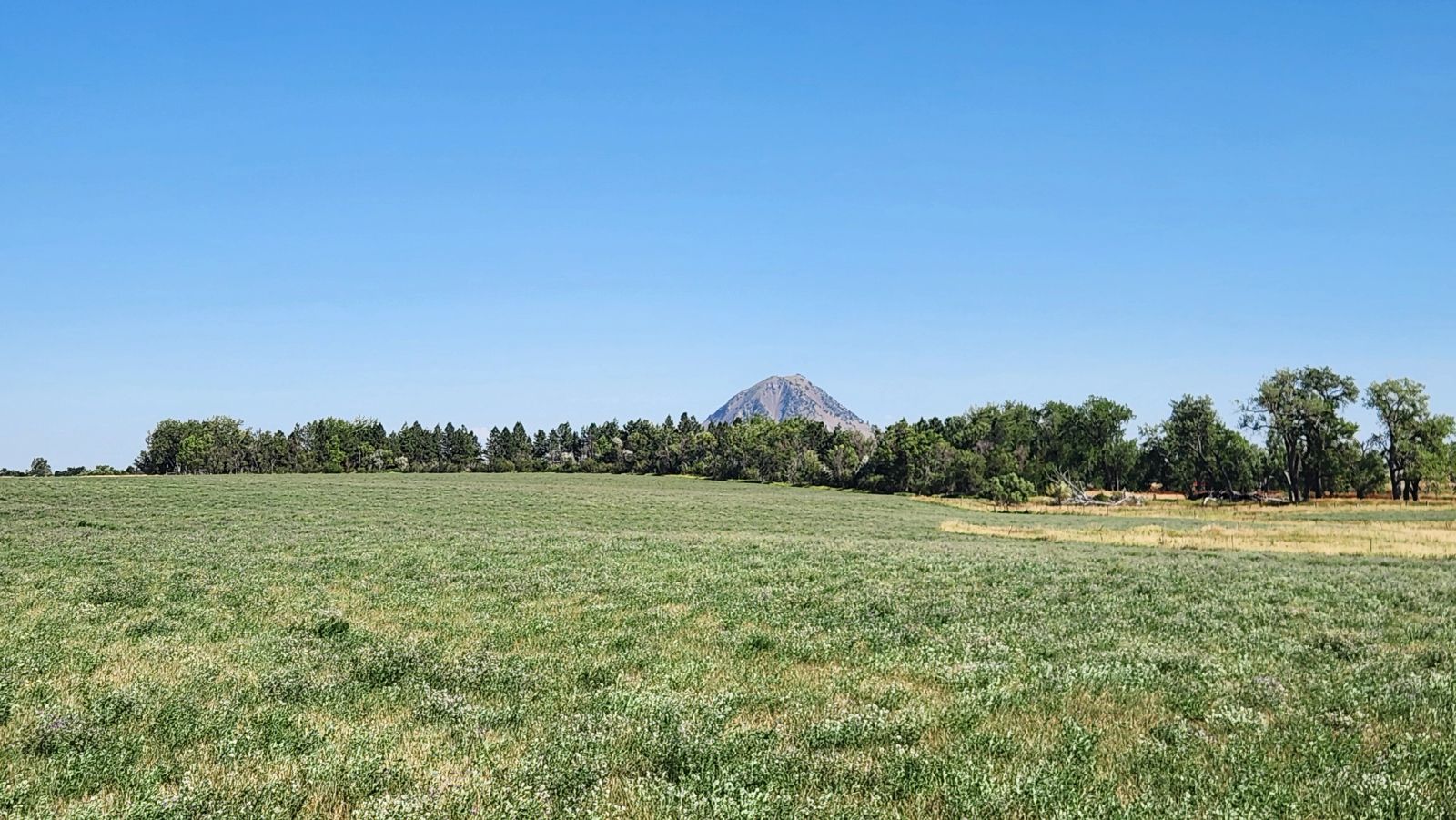 2 Tracts — Land & Homesite, Sturgis, SD — Land & Home Auction in Sturgis, SD thumbnail 11