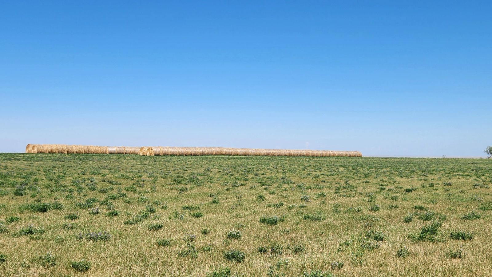 2 Tracts — Land & Homesite, Sturgis, SD — Land & Home Auction in Sturgis, SD thumbnail 2