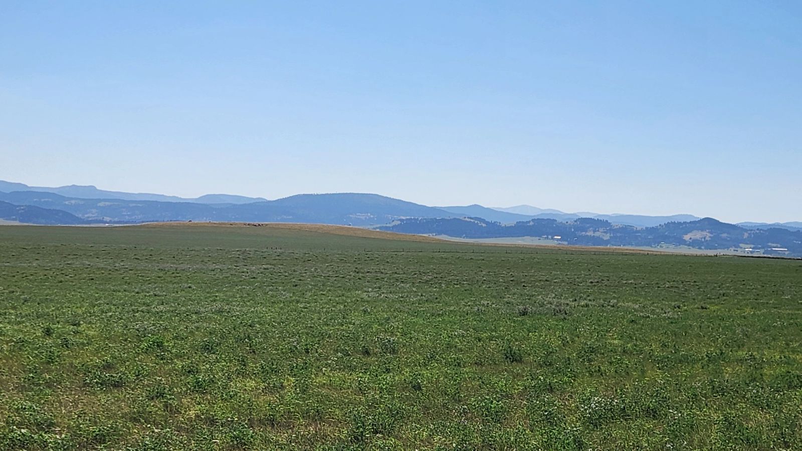 2 Tracts — Land & Homesite, Sturgis, SD — Land & Home Auction in Sturgis, SD thumbnail 7