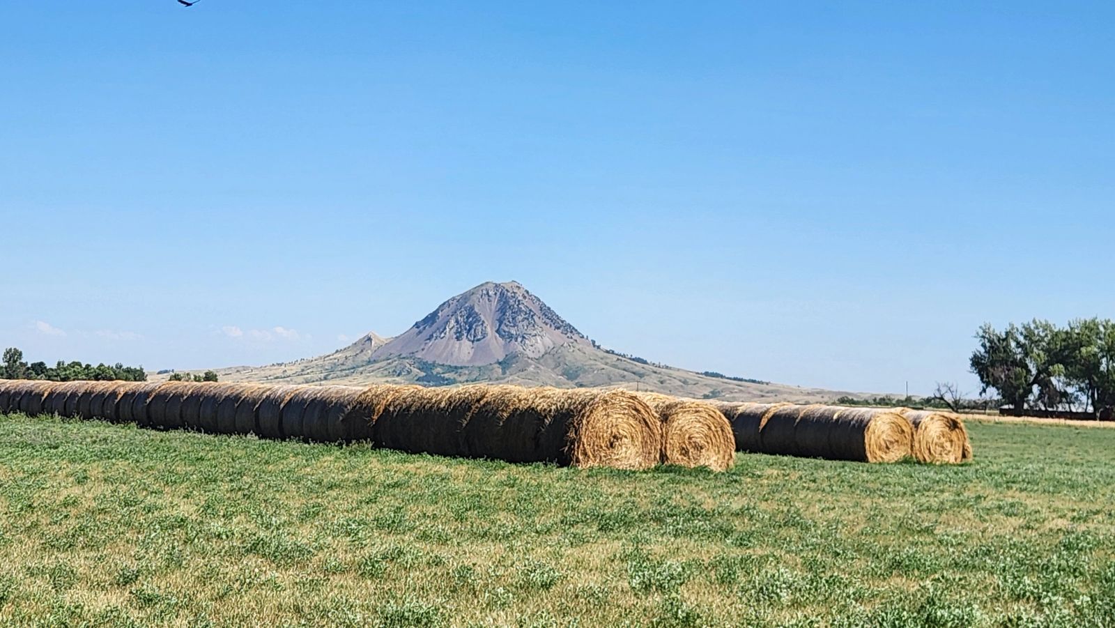 2 Tracts — Land & Homesite, Sturgis, SD — Land & Home Auction in Sturgis, SD thumbnail 4