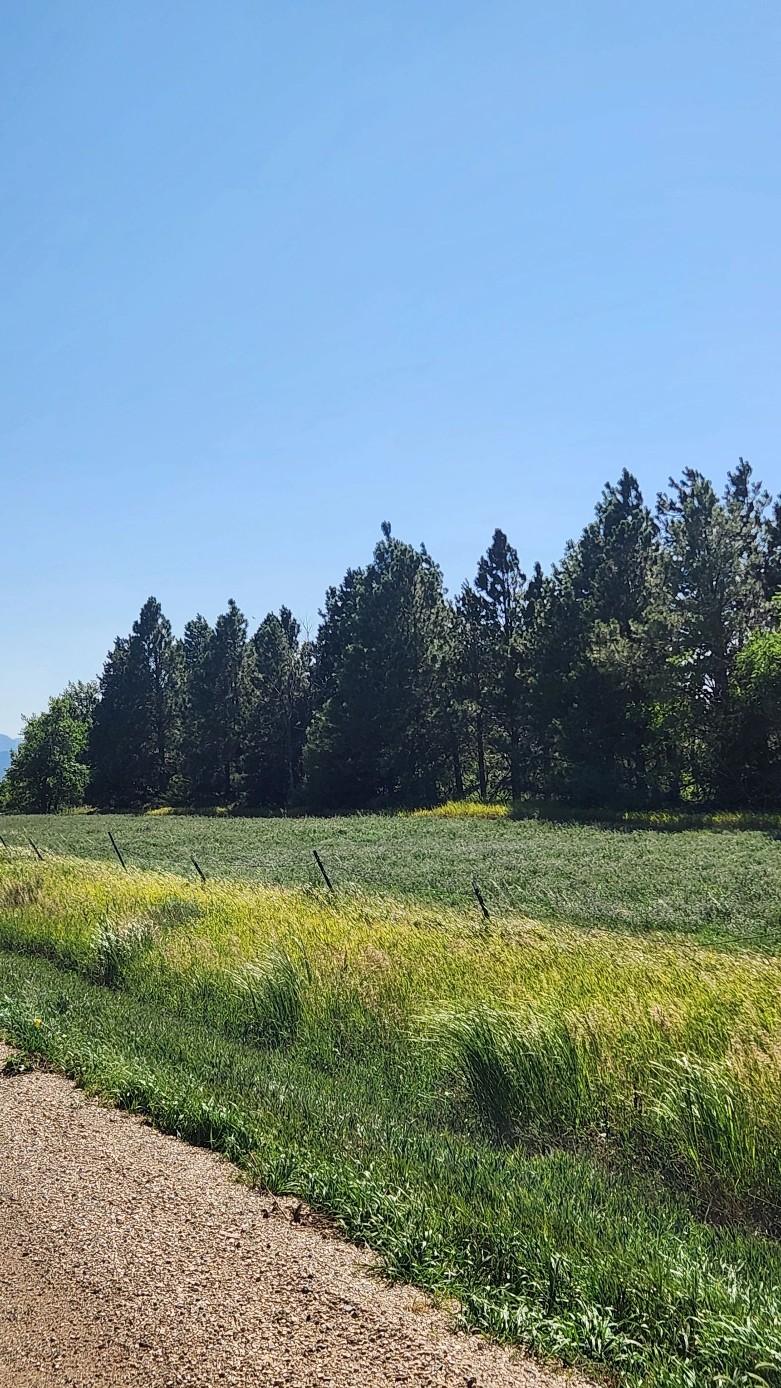 2 Tracts — Land & Homesite, Sturgis, SD — Land & Home Auction in Sturgis, SD thumbnail 18