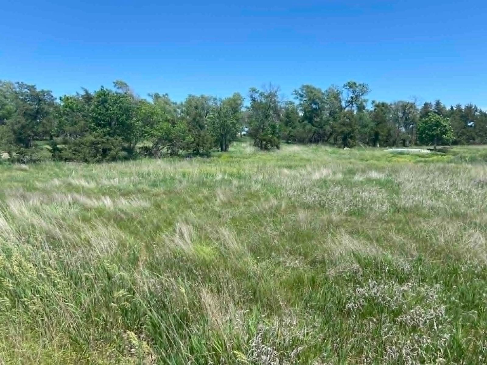 24 (+/-) Acres of Rural Residential Land, Vivian, SD — Vivian, SD real estate photo thumbnail 11