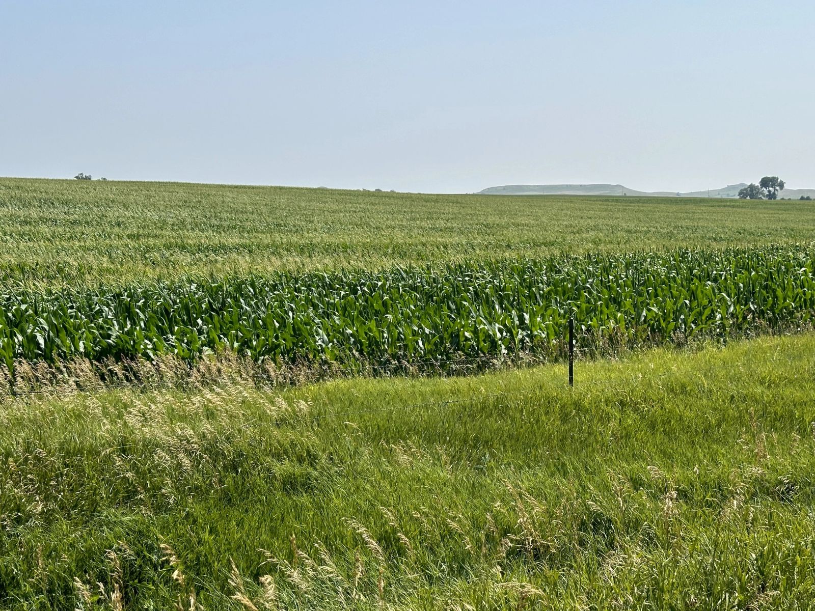 160 +/- Acres Mostly Cropland, Carlock Twp, Gregory Co, SD — Carlock, SD real estate photo thumbnail 3