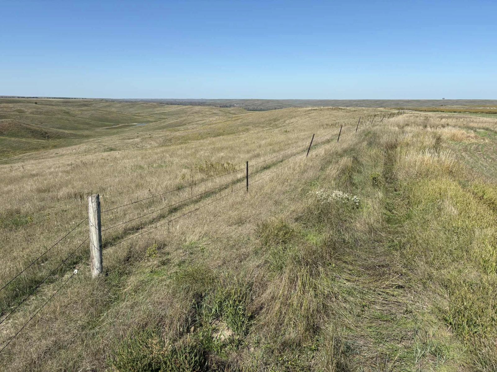 31 (+/-) Acres, Greenwood Twp, Tripp County, SD — Winner, SD real estate photo thumbnail 2
