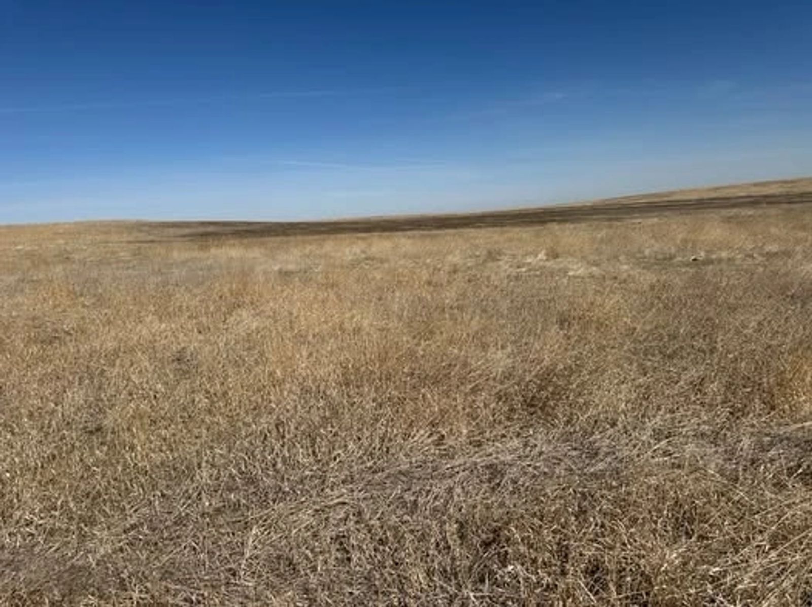 148 +/- Acres Pasture/Crop Land, Jordan Twp, Tripp Co, SD — Winner, SD real estate photo — photo 1 of 10