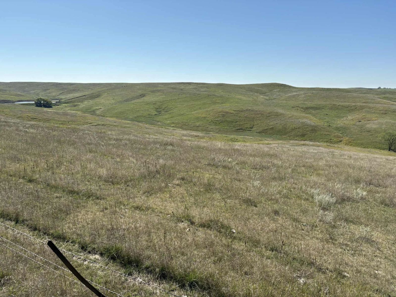 31 (+/-) Acres, Greenwood Twp, Tripp County, SD — Winner, SD real estate photo thumbnail 12
