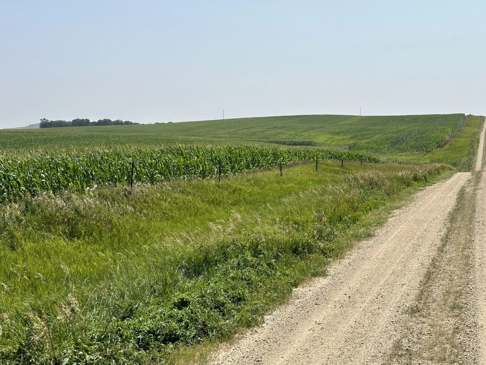 160 +/- Acres Mostly Cropland, Carlock Twp, Gregory Co, SD — Carlock, SD real estate photo — photo 1 of 13